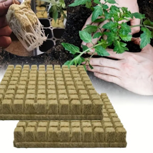 Pots Trays: Seedlings Rock Wool (50 pack)