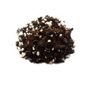 Garden Accessories: Potting Mix (Cacti & Succulent) - Soil Box