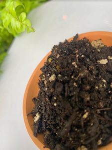 Soil Boxes: Premium Potting Mix - Soil Box
