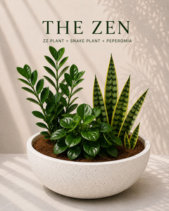 All Plants: The Zen