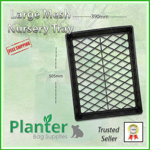 Other Growing: Large Nursery Tray