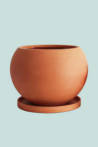 Ceramic Pots Pick Up Only: Esfera Terracotta Globe 20cm Pot - Fits Medium Plants
