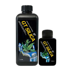 Growth Technology GT Silica