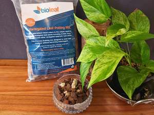 Bio Leaf Premium Variegated Leaf Potting Mix - 5 Litre