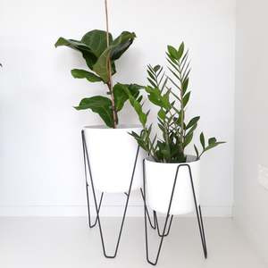 Care Gifts Accessories: Plant Stands - Elho