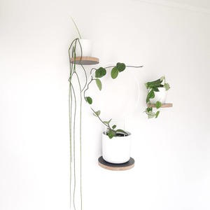 Round Floating Shelves