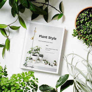 Care Gifts Accessories: Book - Plant Style