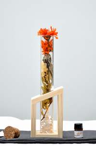 I AM VIBRANT - BOTANICAL SCENT DIFFUSER