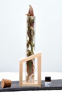 Whats New: I AM EARTH - BOTANICAL SCENT DIFFUSER