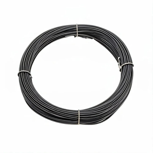Products: 50m ABS 3mm Round Black