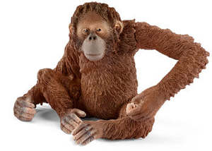 Figures Animal Kingdom 1: Orang-Utan Female - Schleich
