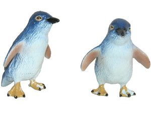 Blue Eyed Penguin