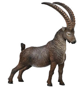 Figures Wild Animals: Alpine Ibex - Collecta