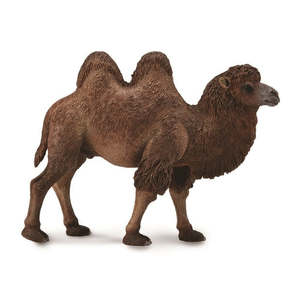 Bactrian Camel - CollectA
