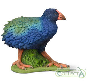 Takahe - Collecta