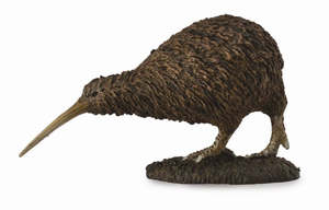 Kiwi - Collecta