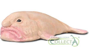 Blobfish - Collecta