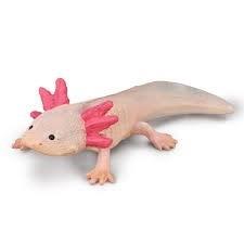 Axolotl (walking Fish) - Collecta
