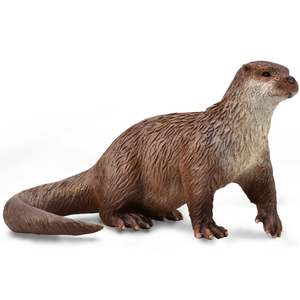 Common Otter - Collecta