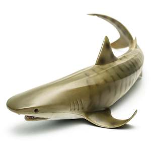 Tiger Shark - Collecta
