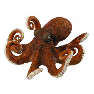 Octopus - Collecta