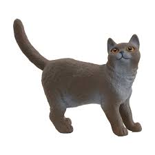 Figures Pets: British Shorthair Cat - Schleich