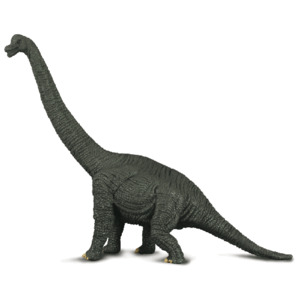 Figures Dinosaurs: Brachiosaurus - Collecta