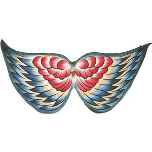 Bird wings - Kea - Gollygo