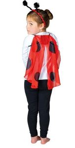 Animal Dressups: Ladybird Headgear and Wings - Gollygo