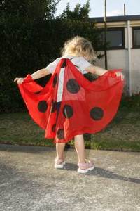 Ladybird Wings - Gollygo