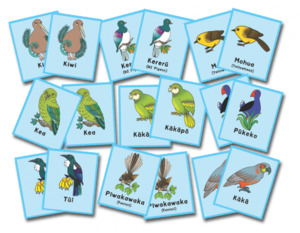 Games Maori: Birds of Aotearoa Memory Game - Teacher Talk