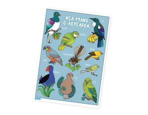 Posters Placemats: Ngā Manu O Aotearoa (Birds) A3 Poster - Teacher Talk