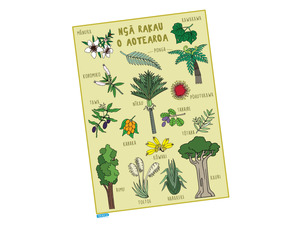 Posters Placemats: Ngā Rakau o Aotearoa (Plants) A3 Poster - Teacher Talk