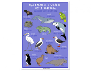 Posters Placemats: Ngā kararehe e whaiti nei i Aotearoa (Endangered Species) A3 Poster - Teacher Talk
