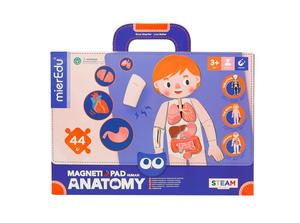 Magnetic Pad Human Anatomy - MierEdu
