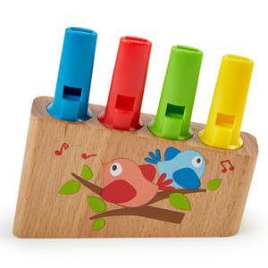 Pitch Instruments: Rainbow Pan Pipe - Hape