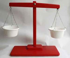 Other Tools: Scales with plastic buckets