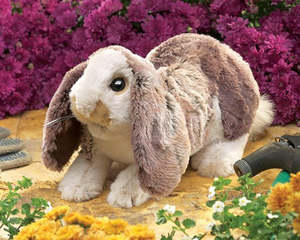 Rabbit Baby Lop Hand Puppet- Folkmanis