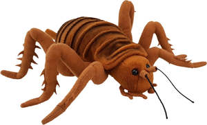New Zealand Hand: Giant Weta - Antics