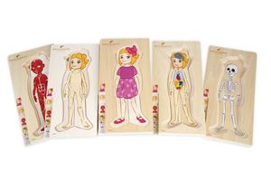 Sequencing: Girl 5 Layer Body Puzzle - Discoveroo