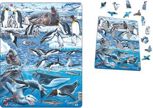 Insects And Birds: Antarctica Puzzle 66pc - Larsen