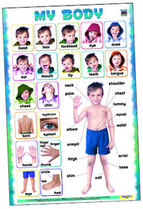 EC My Body Poster