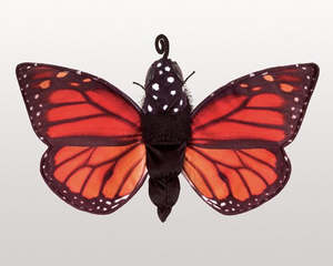 Life Cycle: Butterfly Monarch Life Cycle - Folkmanis