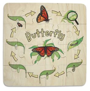 Life Cycle: Butterfly Life Cycle 16pc puzzle - Kiwi Made Toys