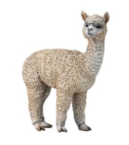 Alpaca - Collecta