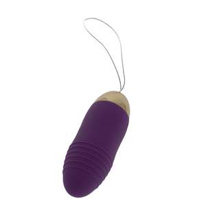 Vibrators: Intense Vibe Remote 10 Function Self Pleasure Egg