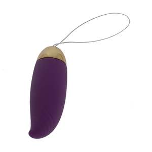 Erotic Vibe Remote 10 Function Pleasure Egg