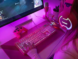 PLAYMAX PINK TABOO RANGE