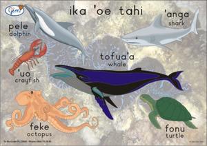 Products: Big Fish Poster Tongan - Play‘n’Learn – Educational Resources