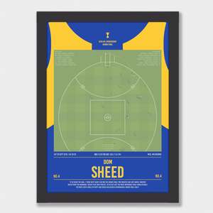 Dom Sheed's centimetre perfect goal to win the Grand Final!